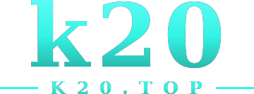 k20 logo